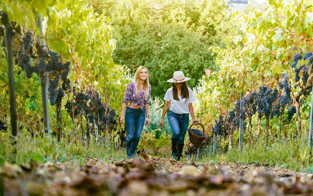 From Florence: Chianti Wine Tasting Tour (English Guided Tour) - 3