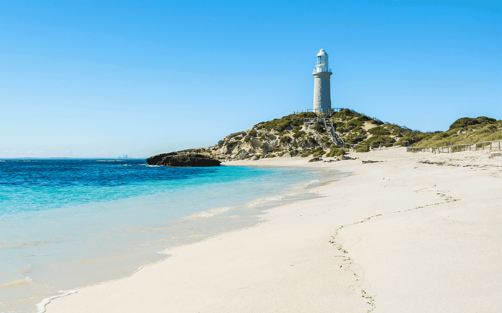 From Fremantle: Rottnest Island Guided Bus Tour with Return Ferry (Ferry Transfers + Guided Bus Tour) - 3