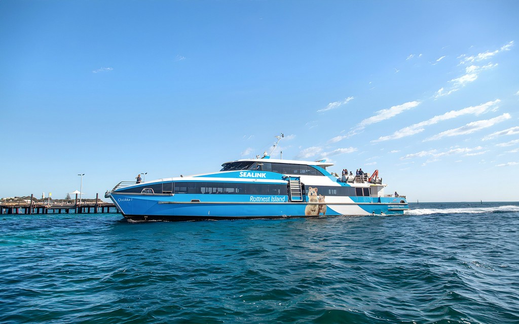 From Fremantle: Rottnest Island Return Ferry (Ferry Transfers) - 3