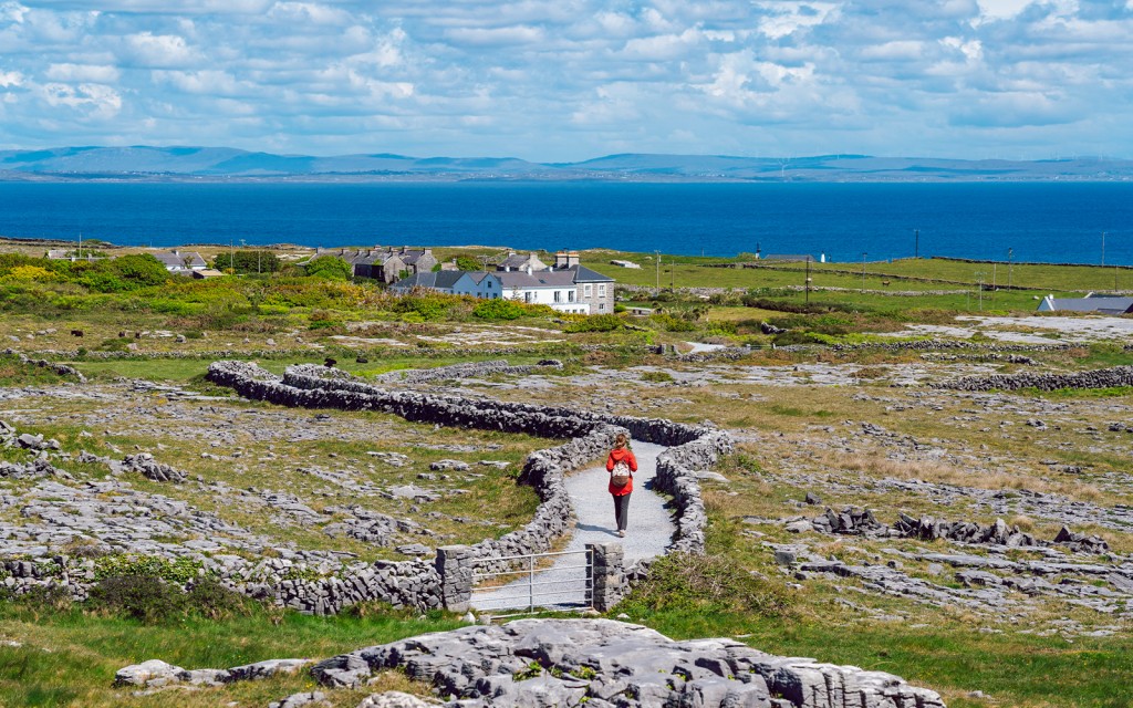 From Galway: Cliffs of Moher and Aran Islands Full-Day Tour (Small-Group Cliffs of Moher, Aran Islands, and Connemara Tour) - 3