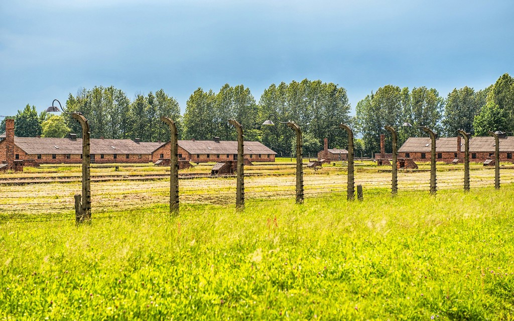 Desde Cracovia: visita guiada a Auschwitz-Birkenau con traslados (French Guided Tour with Hotel Transfers) - 2