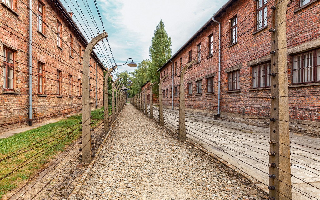 Depuis Cracovie : visite guidée d'Auschwitz-Birkenau avec navettes (Polish Guided Tour with Meeting Point Pickup) - 3