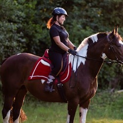 From Krakow: Half-Day Horse Riding by the Lake - 1