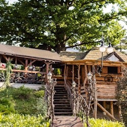 From Krakow: Half-Day Horse Riding by the Lake - 3