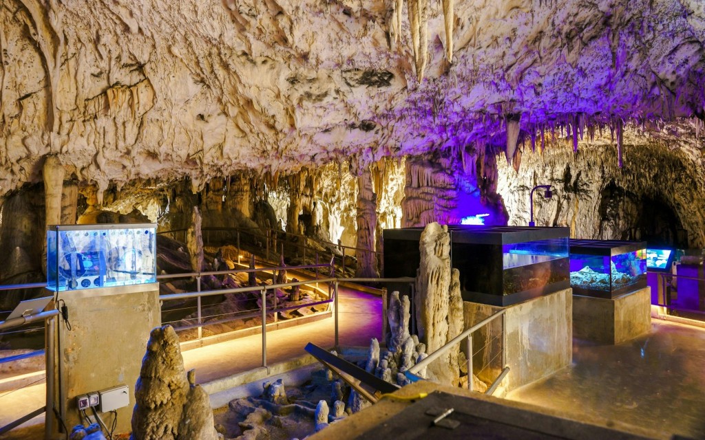 De Ljubljana: Caverna de Postojna, Castelo de Predjama e tour em Piran (Postojna Cave, Predjama Castle & Piran Full-Day Tour from Ljubljana) - 1