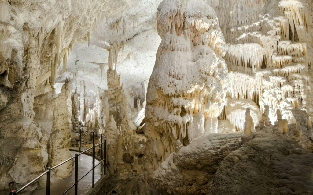 Von Ljubljana aus: Postojna-Höhle & Predjama-Burg geführte Tour (Postojna Cave & Predjama Castle Tour (Tickets Included)) - 2