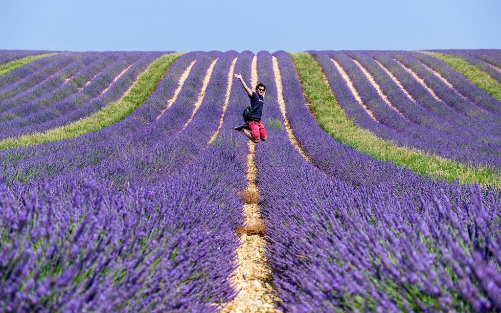 Von Marseille aus: Tour durch die Lavendelfelder (Lavender Sault Full Day Tour) - 1