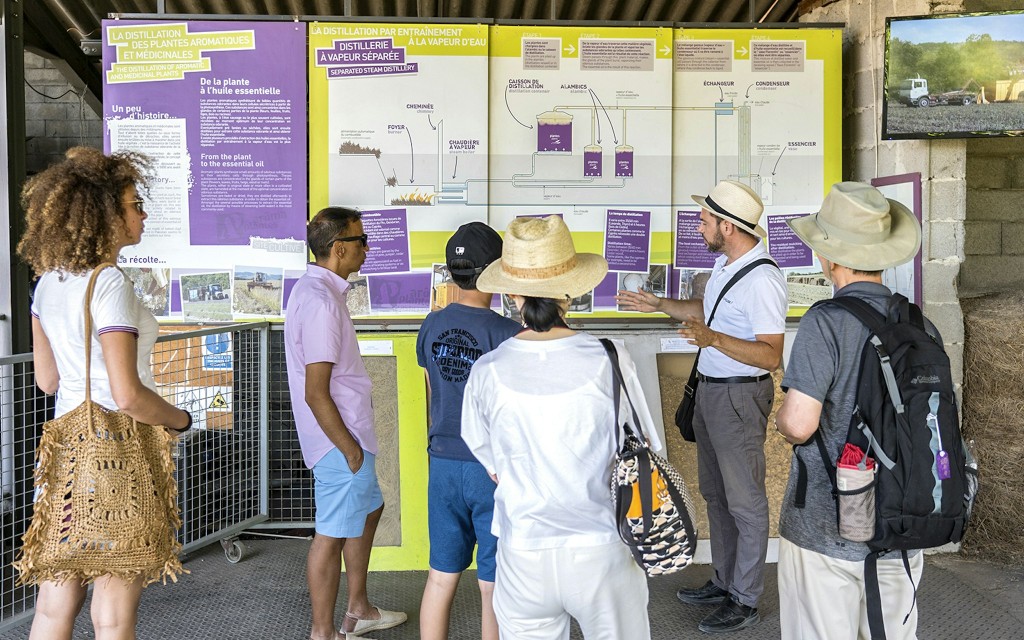 Von Marseille aus: Tour durch die Lavendelfelder (Lavender Sault Full Day Tour) - 3