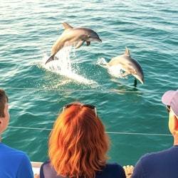From Miami: Key West Glass Bottom Boat Tour - 3
