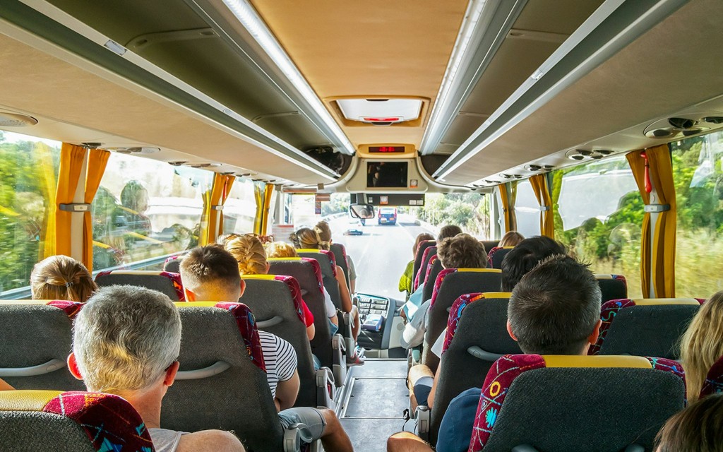 Da Nizza: tour in giornata ai campi di lavanda e alle gole del Verdon (Shared Tour of Verdon Gorge & Lavender Fields) - 3