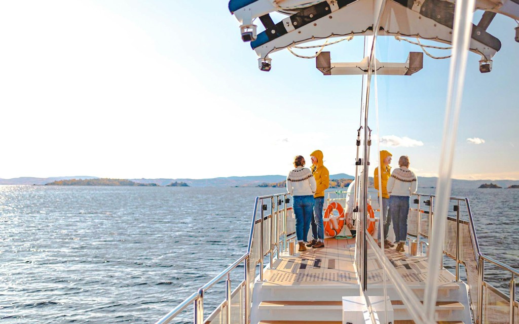 Ab Oslo: 2,5-stündige stille Sightseeing-Bootsfahrt auf dem Fjord mit Reiseleiter (Silent Fjord Cruise from Oslo) - 2