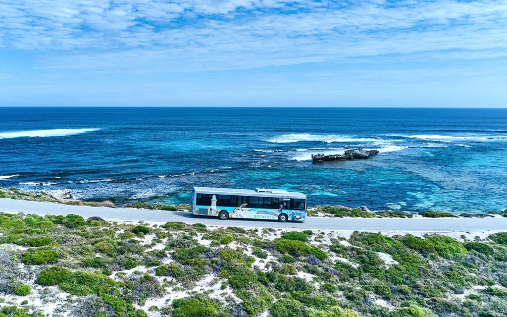 Ab Perth: Hin- und Rückfahrt nach Rottnest Island mit der Fähre (Ferry Transfers + Guided Bus Tour) - 2