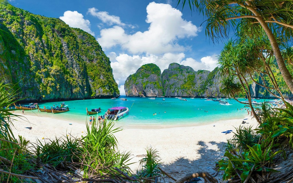 Ab Phuket: Phi Phi Island, Maya Bay & Bamboo Island Tour mit Schnellboot mit Mittagessen & optionalen Transfers (Full Day Tour with Park Fees Included) - 1