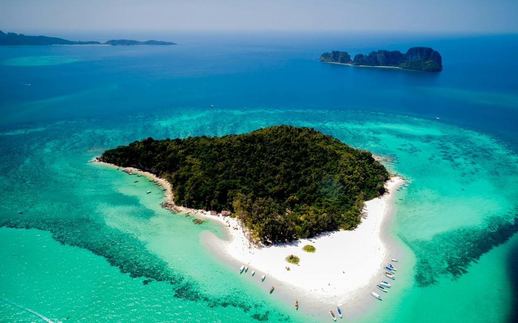 Ab Phuket: Phi Phi Island, Maya Bay & Bamboo Island Tour mit Schnellboot mit Mittagessen & optionalen Transfers (Full Day Tour with Park Fees Included) - 3