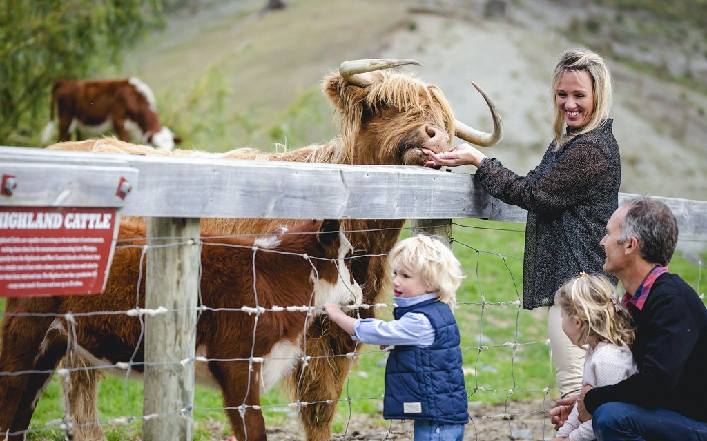 Von Queenstown aus: TSS Earnslaw Lake Wakatipu Kreuzfahrt (TSS Earnslaw Cruise + Walter Peak Farm Tour) - 3