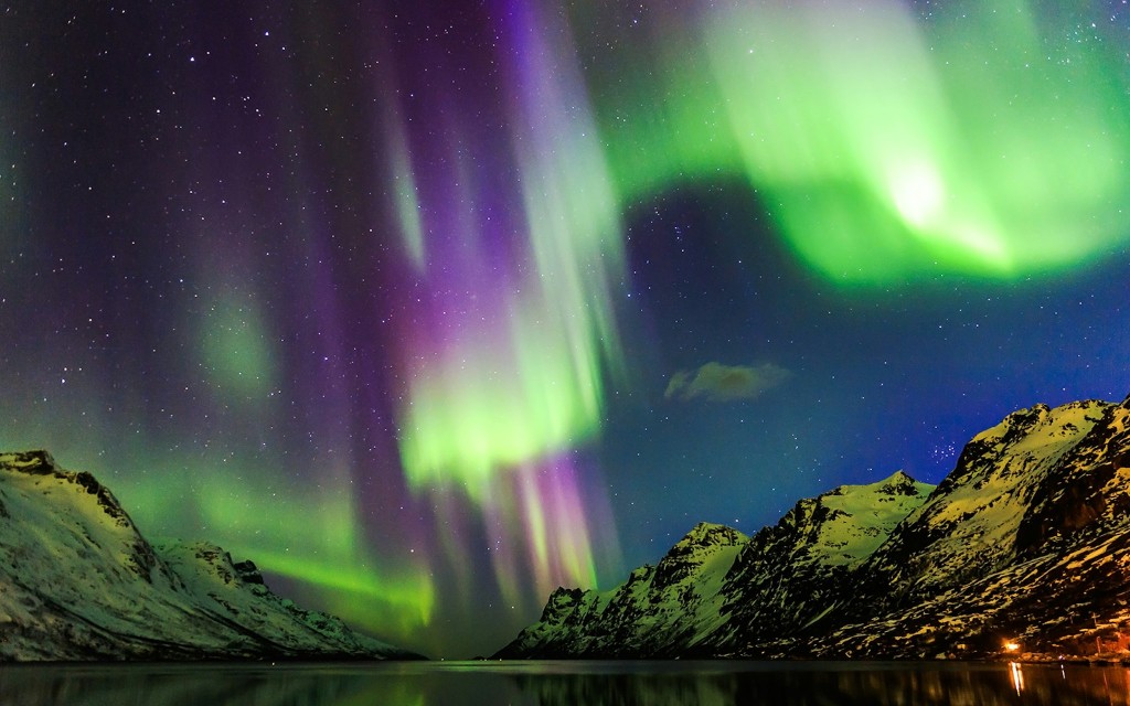 Reikiavik: Crucero turístico por la Aurora Boreal (Northern Lights Cruise with Backup Plan) - 3