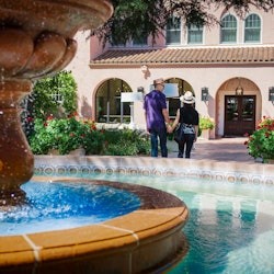 From San Francisco: Day Trip to Redwoods & Wine Country - 3