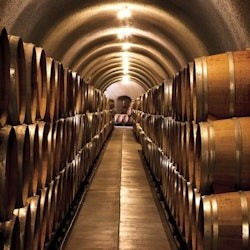 From San Francisco: Full Day Napa Valley Wine Tasting Tour - 1
