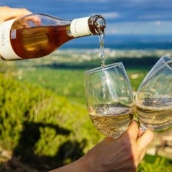Von San Francisco aus: Ganztägige Wine Country Tour und Muir Woods - 3