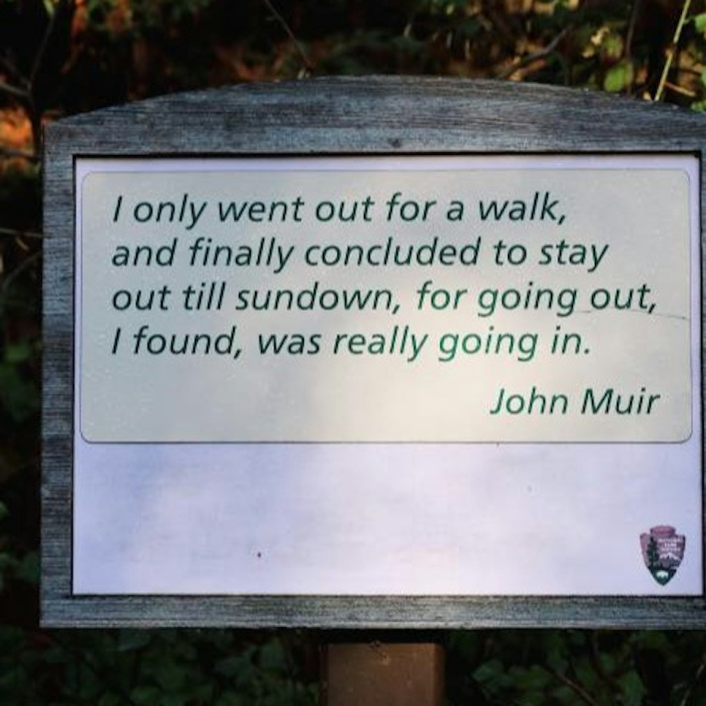 Desde San Francisco: Excursión de medio día a Muir Woods - 1