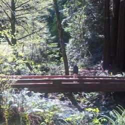 From San Francisco: Half-Day Muir Woods Tour - 2
