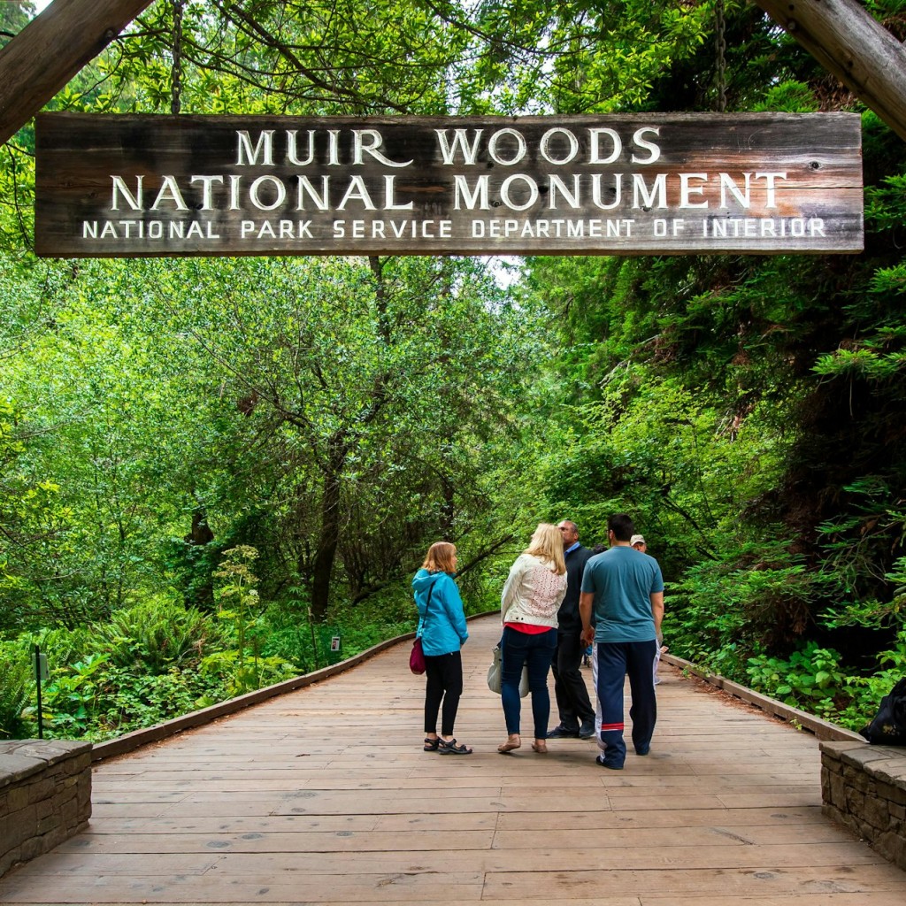 From San Francisco: Muir Woods & Sausalito Morning Tour - 1