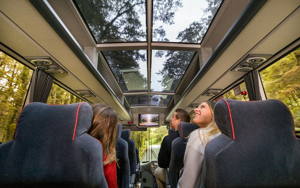 Von Te Anau aus: Milford Sound Tagesausflug mit Kreuzfahrt & Rücktransfer (Premium Small Group Tour with Boutique Boat Cruise) - 2