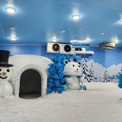 Frost Magical Ice of Siam - 3