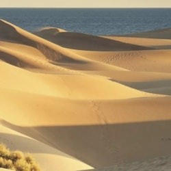 Fuerteventura: Guided Tour + Transfer + Lunch - 3