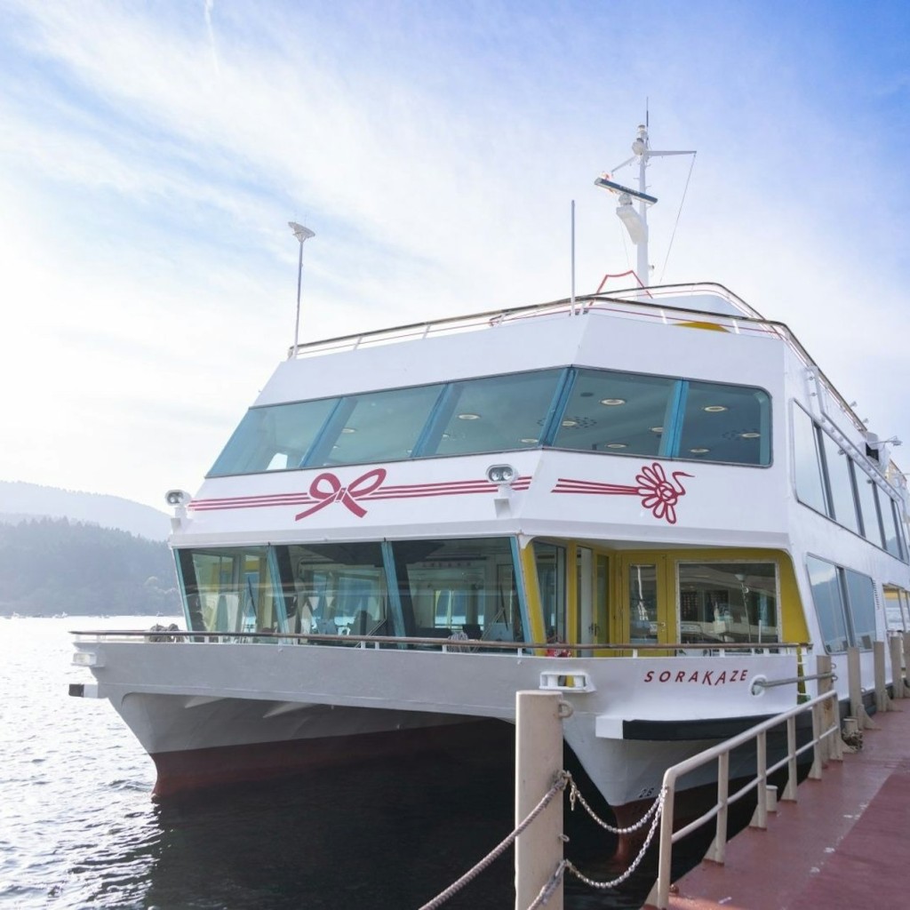 Fuji-Hakone: Day Tour from Tokyo + Return by Shinkansen + Optional Lunch - 3