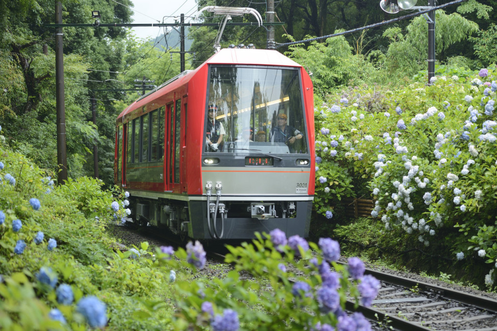 Fuji Hakone Pass (Fuji Hakone Pass - 3 Days Pass) - 1