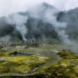 Furnas: Tea Plantations, Lake, and Volcano Guided Tour - 1