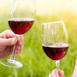 Gaillac: Half-Day Guided Tour from Toulouse + Wine Tasting - 1