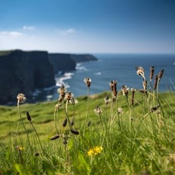 Galway to Cliffs of Moher and Burren Full Day Tour - 2