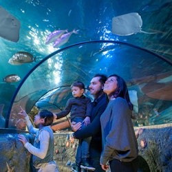 Gardaland Park + Gardaland SEA LIFE Aquarium - 2