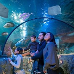 Gardaland Park, LEGOLAND® Water Park & SEA LIFE Aquarium: 2-Day Combo Pass - 1