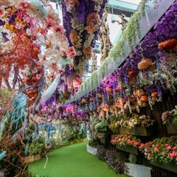 奇幻花园门票 - 1