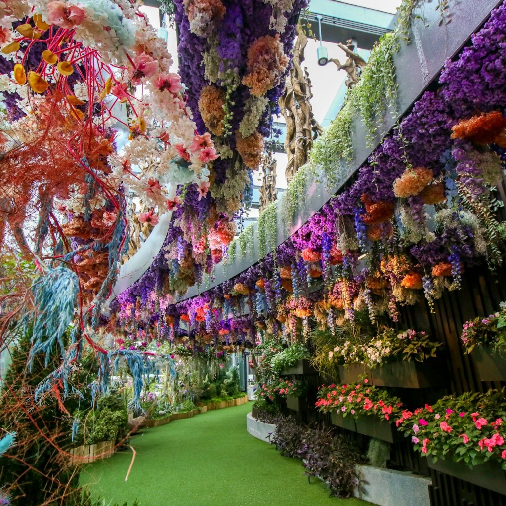 Jardins a la badia: fantasia floral - Avatar + Cloud Forest - 1