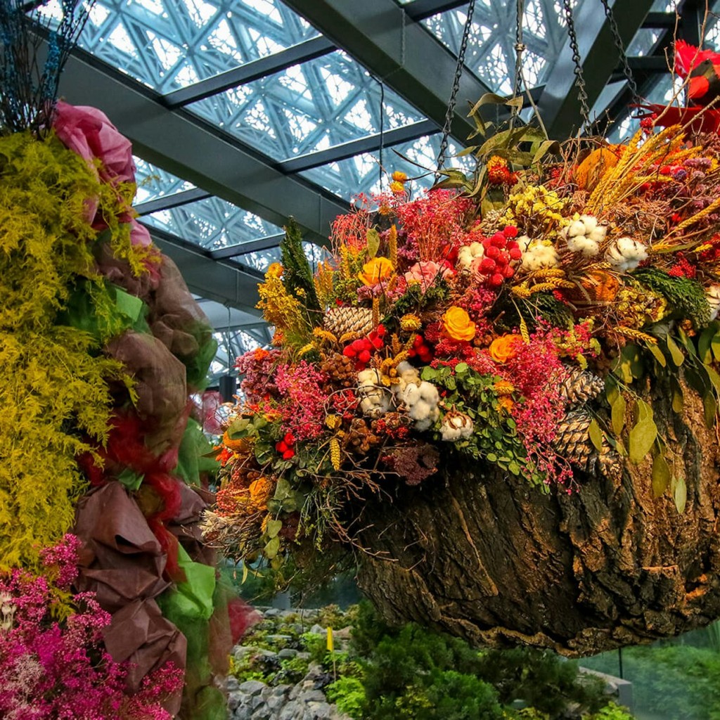 Jardins a la badia: fantasia floral - Avatar + Cloud Forest - 2