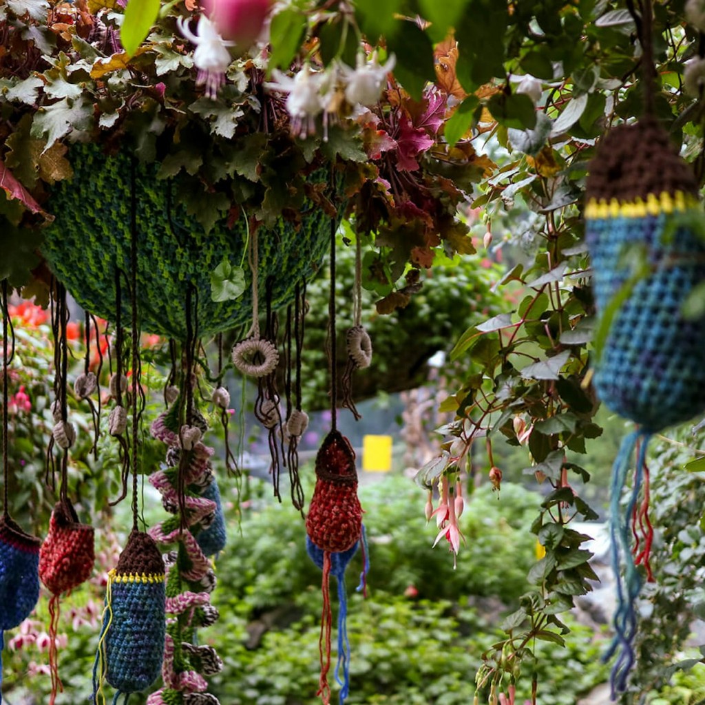 Jardins a la badia: fantasia floral - Avatar + Cloud Forest - 3