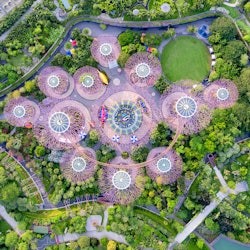 Gardens by the Bay: Visita guiada - 1