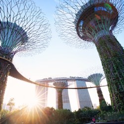 Gardens by the Bay: Visita guiada - 3
