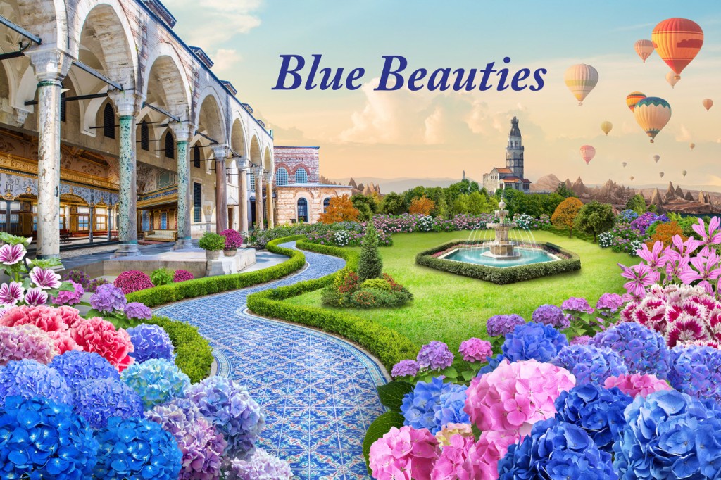 Gardens by the Bay Ticket (Flower Dome + Cloud Forest with Jurassic World: The Experience + Supertree Observatory (9:00 AM to 4:00 PM) + Disney Garden of Wonder at Floral Fantasy) - 3