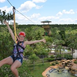 Gatorland Orlando: кричащая линия Gator Zip Line - 2