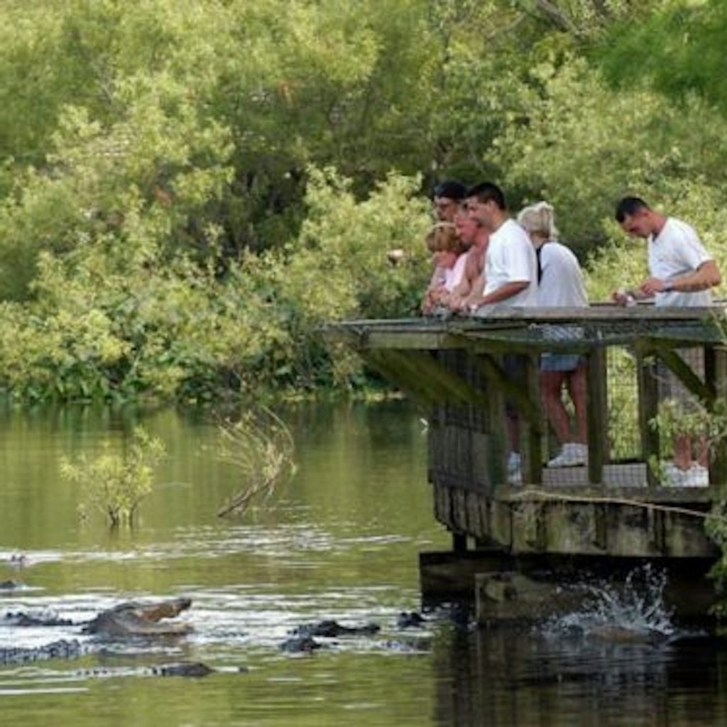 Gatorland Orlando: Tiquet sense cues - 3