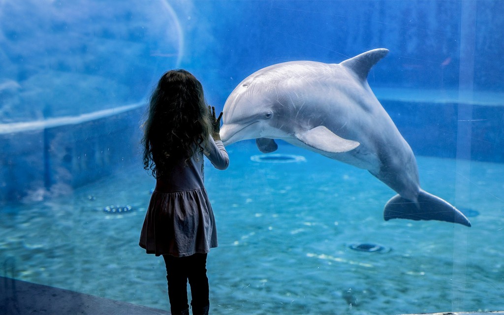 Genua Aquarium Tickets (Tickets to Genoa Aquarium with Lunch) - 2