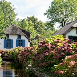 Giethoorn: Transport + Boat Trip - 3