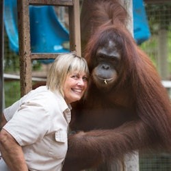 Go City Miami: Explorer Pass with 2 to 5 Attractions - 3