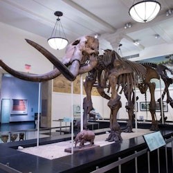 Go City New York Essentials Pass: 1 Observation Deck + 2 Top Attractions - 2