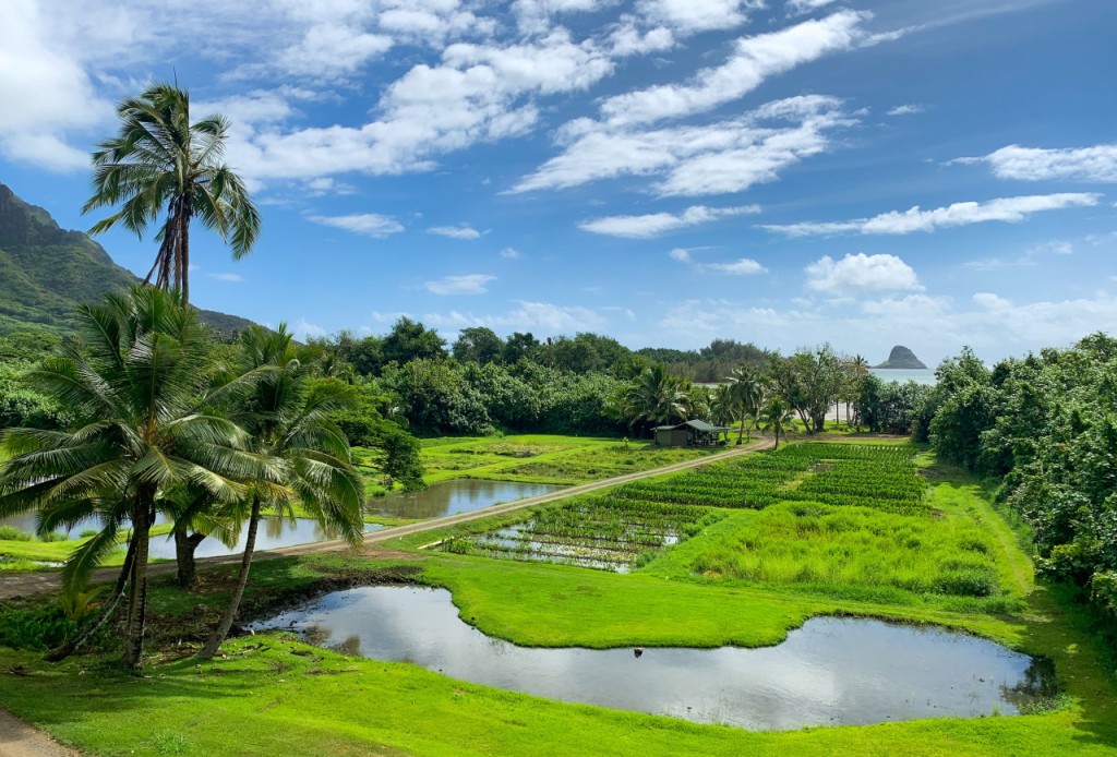 Go City Oahu Explorer Pass: Save up to 50% on Attractions (Go City Oahu Explorer Pass - 3 Choices) - 3